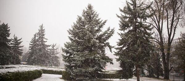 Снег - Sputnik Молдова