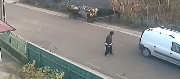 Паранормальное по-румынски: лошадь, машина и два мужика – видео Паранормальное по-румынски: лошадь, машина и два мужика – видео - Sputnik Молдова