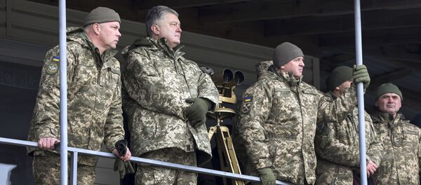 Президент Украины П. Порошенко посетил тактические учения десантно-штурмовых войск в Житомирской области Президент Украины П. Порошенко посетил тактические учения десантно-штурмовых войск в Житомирской области - Sputnik Moldova-România