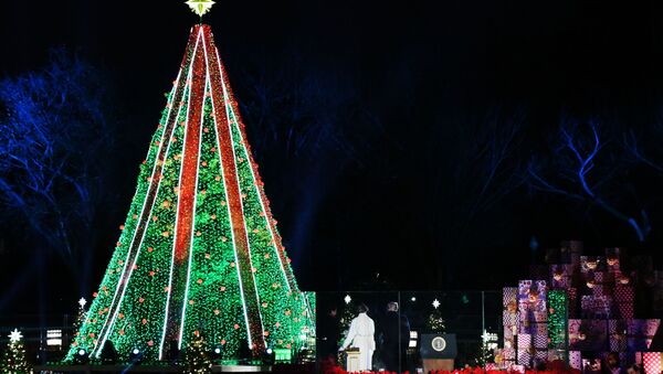 Pomul de Crăciun, Washington - Sputnik Moldova-România