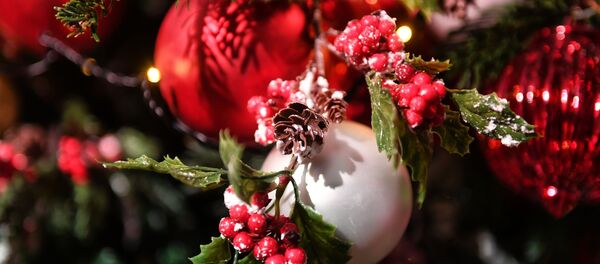 Новогодняя елка Новогодняя елка - Sputnik Молдова