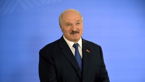 Выборы президента Белоруссии - Sputnik Moldova-România