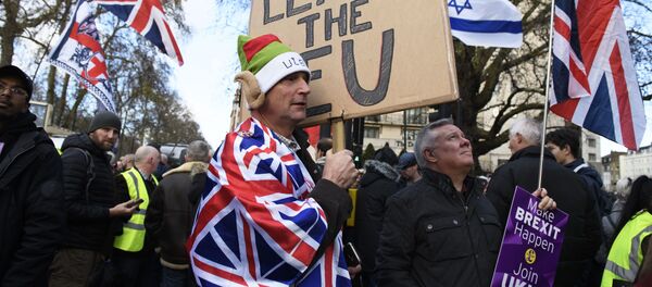 Участники акции в поддержку Brexit в Лондоне - Sputnik Moldova-România