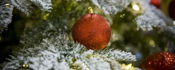 Новогодняя елка  - Sputnik Молдова