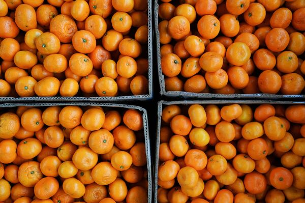 Сладкий цитрус с запахом Нового года - как мандарины попадают на прилавки Сладкий цитрус с запахом Нового года - как мандарины попадают на прилавки - Sputnik Молдова