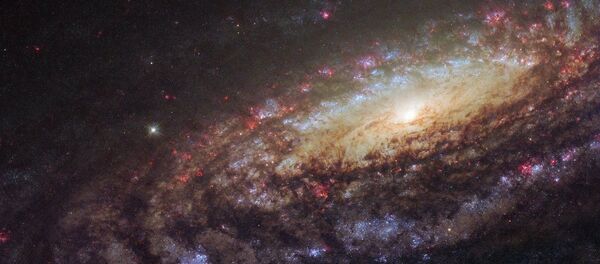 Спиральная галактика NGC 7331 в созвездии Пегас Спиральная галактика NGC 7331 в созвездии Пегас - Sputnik Молдова