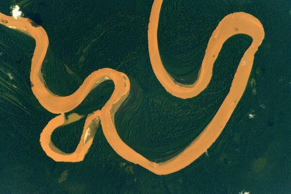Русло реки Амазонки, снятое с борта МКС - Sputnik Молдова