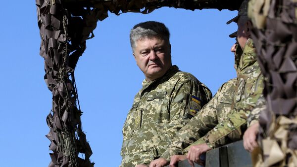 Petro Poroșenko. Exerciţii militare ucrainene  - Sputnik Moldova