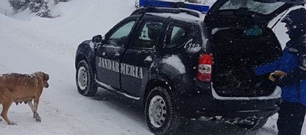 Gest salutabil al jandarmeriei - Sputnik Moldova-România