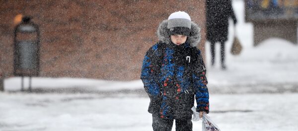 Elev. Iarnă. Zăpadă. - Sputnik Moldova