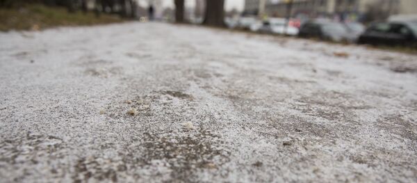 Ghețuș - Sputnik Moldova