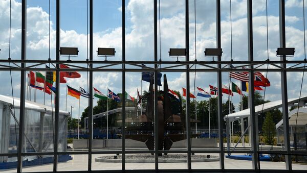 Drapelel statelor NATO - Sputnik Moldova-România