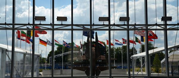 Drapelel statelor NATO - Sputnik Moldova