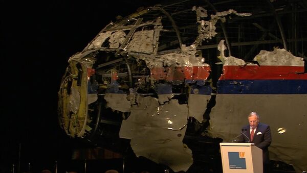 Доклады комиссий РФ и Голландии о результатах расследования гибели МН-17 - Sputnik Молдова