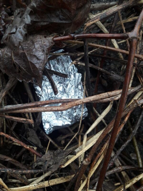 Удивительные детали о преступном бизнесе в Молдове: полиция в шоке - Sputnik Молдова