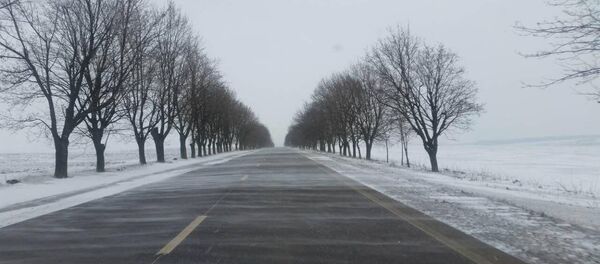 Viscol - Sputnik Moldova