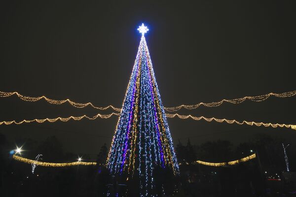 Главная елка страны на центральной площади Кишинева - Sputnik Молдова