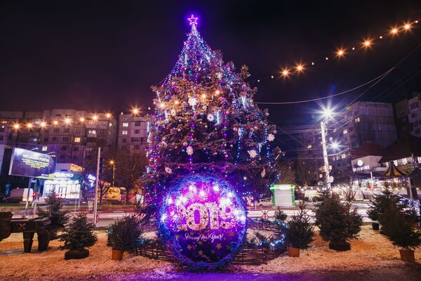 Елка в столичном секторе Чеканы. Это дерево столичные власти пересадили из сектора Рышкановка - Sputnik Молдова