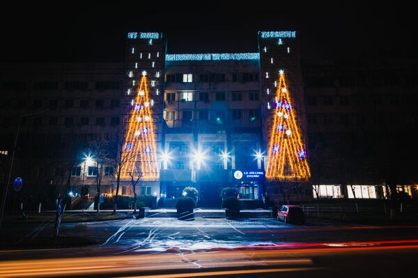 Елки, которые украшают административное  здание на улице Албишоара. - Sputnik Молдова