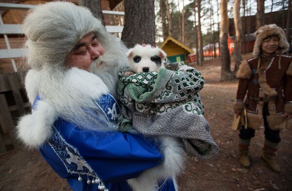 Ямал Ири из Салехарда несет щенка в подарок Деду Морозу во время празднования Дня рождения Деда Мороза в Великом Устюге - Sputnik Молдова