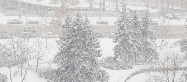 Снег  - Sputnik Moldova