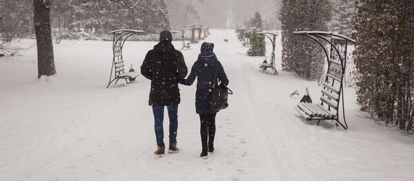 Снег  - Sputnik Moldova-România