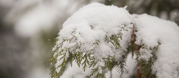 Зима - Sputnik Молдова