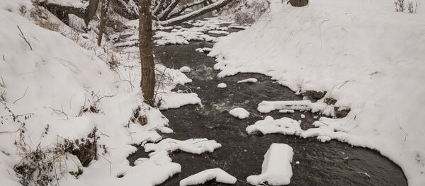 Зима - Sputnik Moldova