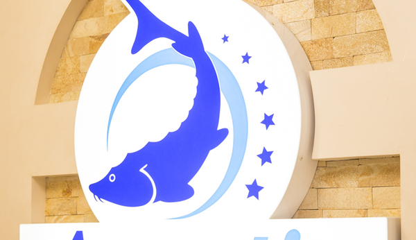 Осетровая ферма в Тирасполе Осетровая ферма в Тирасполе - Sputnik Молдова