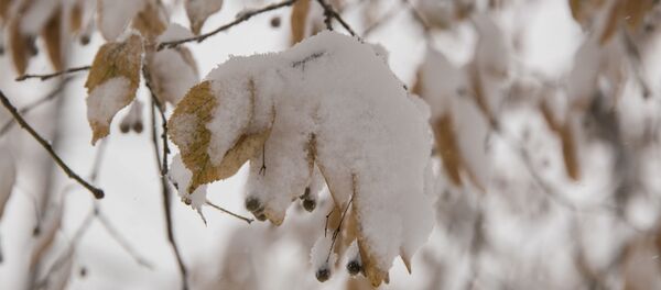 Зима - Sputnik Moldova