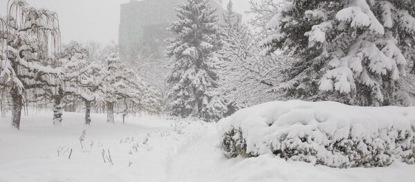 Зима - Sputnik Moldova