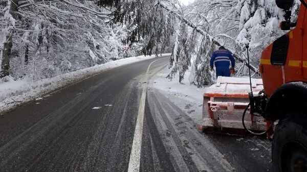 Acțiunea de debarasare a copacilor căzuți pe DN13A, între Vlăhița și Miercurea Ciuc, județul Harghita - Sputnik Moldova-România