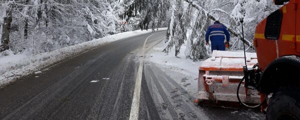 Acțiunea de debarasare a copacilor căzuți pe DN13A, între Vlăhița și Miercurea Ciuc, județul Harghita - Sputnik Moldova-România
