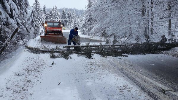 Acțiunea de debarasare a copacilor căzuți pe DN13A, între Vlăhița și Miercurea Ciuc, județul Harghita - Sputnik Moldova