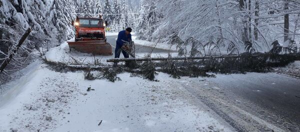 Acțiunea de debarasare a copacilor căzuți pe DN13A, între Vlăhița și Miercurea Ciuc, județul Harghita - Sputnik Moldova