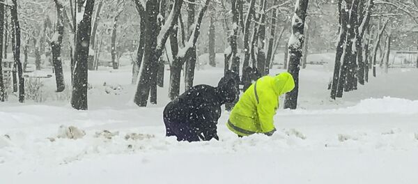 Зима - Sputnik Moldova