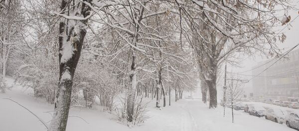 Зима  - Sputnik Молдова