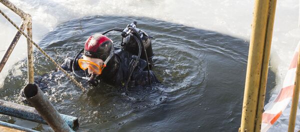 Водолаз - Sputnik Moldova