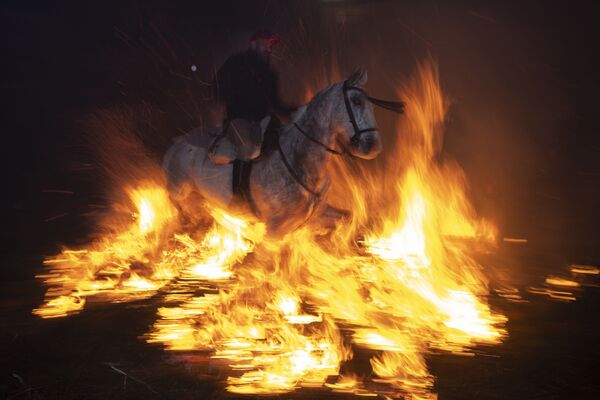 Лошадь во время ежегодного фестиваля Las Luminarias в Испании - Sputnik Moldova
