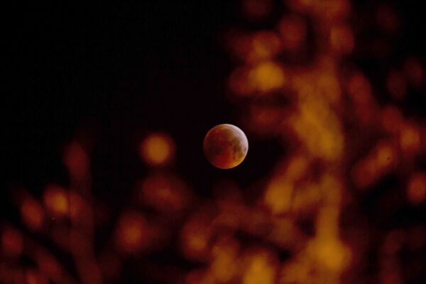 Кровавое лунное затмение в Бельгии - Sputnik Молдова