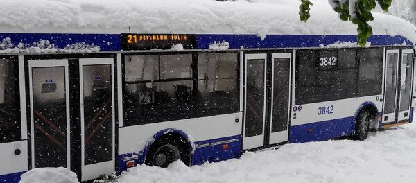 Cu troleibuzul prin nămeți - Sputnik Moldova