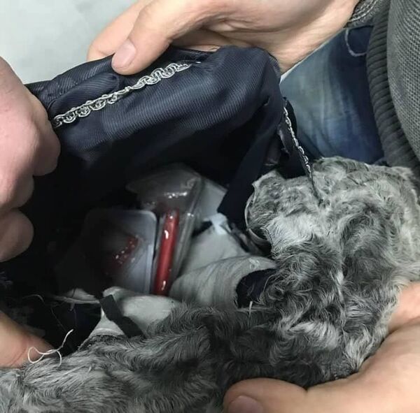 Криминальная Молдова: подборка преступлений и шокирующих происшествий дня - Sputnik Молдова