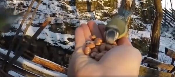 А вы помогаете нашим ближним зимой? - Sputnik Молдова