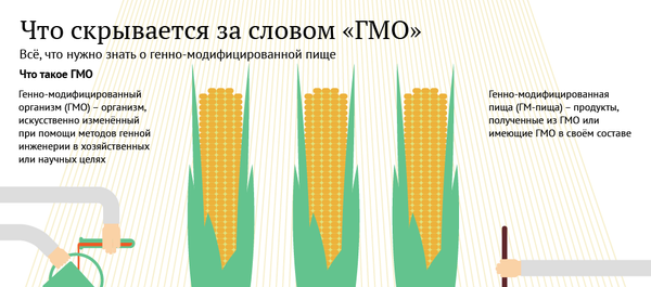 ГМО ГМО - Sputnik Молдова