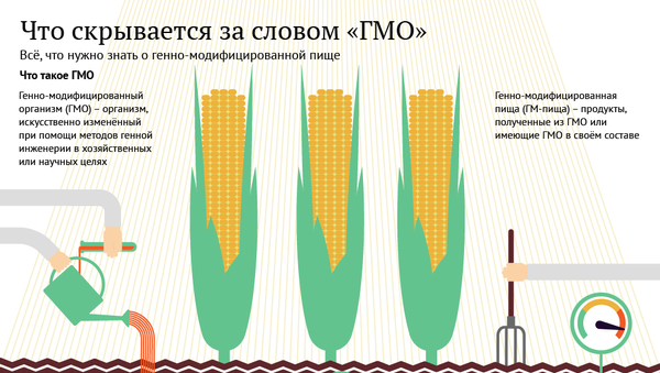 ГМО - Sputnik Молдова