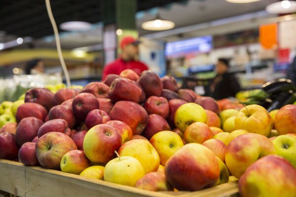 Додон: экспорт молдавской продукции в Россию растет - Sputnik Молдова