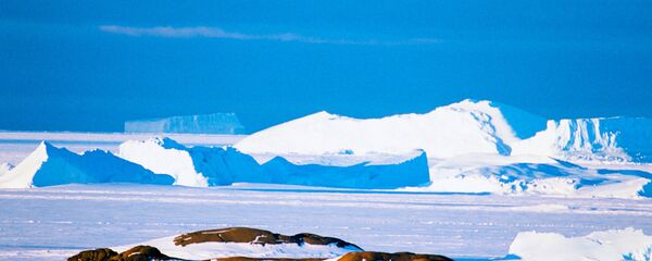 Антарктида - Sputnik Moldova