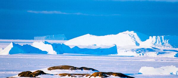 Antarctica - Sputnik Moldova