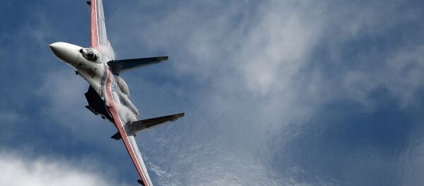 Avionul de luptă multirol Su-27 al grupului de pilotaj „Russkie Viteazi”, fotografie de arhivă - Sputnik Moldova