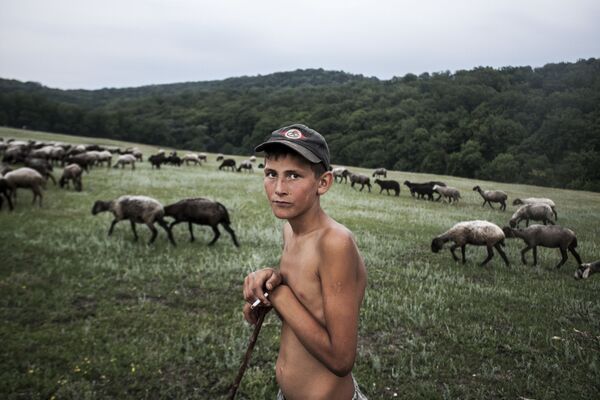 Fotografia „Young Shepherd” a fotografului moldovean Ilya Bugaev la categoria Youth, inclus în lista scurtă a concursului fotografic Sony World Photography Awards 2019 - Sputnik Moldova